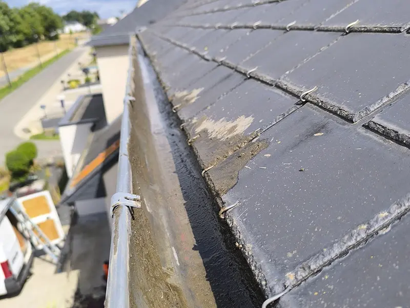 Démoussage et entretien